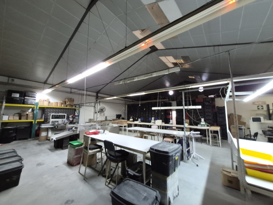 To Let Commercial Property for Rent in Gants Plaza Western Cape